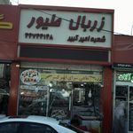 زربال طیور