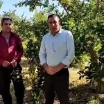 مشاوره کشاورزی | برنامه کوددهی