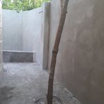 رسول بادودم