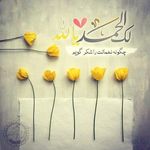 دکتر امیر بیگدلی