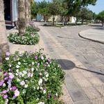 پارک ساحلی سیمرغ