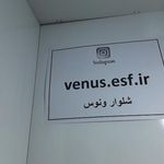 شلوار ونوس