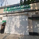 کشاورزی