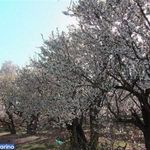 روستای مظفرآباد