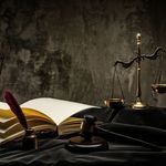 وکیل حقوقی و کیفری نرگس رادنوعی