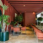 فروش تخصصی گیاه گیالری giallery