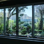 فروش تخصصی گیاه گیالری giallery