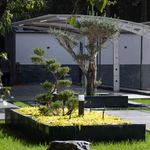 فروش تخصصی گیاه گیالری giallery