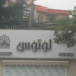 گل آذین