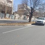 سوپرمارکت دروازه کازرون نبش قاانی