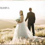 آتلیه تخصصی عروس الین