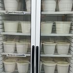 لبنیات مهرداد