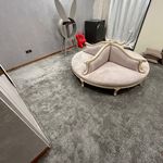 فرش پازیریک آمل