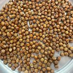 محصولات بومی گروه شهیاد