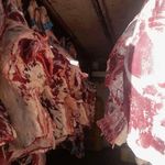 عمده فروش گوشت محسنی