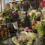 گل فروشی سبز گلدیث زنجان (Ad)