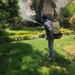 سم پاشی باغبانی سمپاشی هرس آقا نودهی