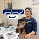 کلینیک دامپزشکی پاندورا