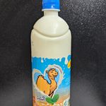 لبنیات سنتی اصیل