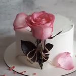 کیک و شیرینی خانگی(تولد،کافه،دسر)حفیظی