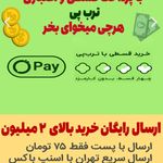 پت شاپ مسترهالی