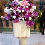 مجموعه گل اطلسی و قصر ماهی