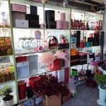 گل پارادایس