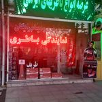 نمایندگی باطری ظریف