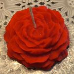 شمع سازی گل نرگس