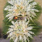 گل فروشی آندیا (شعبه یک)