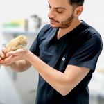 بیمارستان دامپزشکی هلسی پت