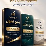 شرکت مشاوره مدیریت کسب و کار مریم حکیمی