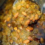 کترینگ دورچین کیش