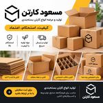 کارتن سازی مسعود کارتن