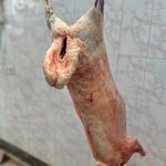 سوپر گوشت سید