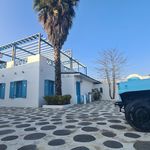 رستوران رشت