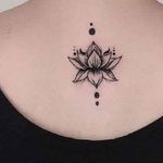 سالن تخصصی عروس حدیثا هانا