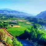 مرکز ترک اعتیاد کاج