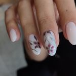 خدمات تخصصی ناخن و اکستنشن مژه نیلای