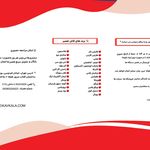 پیکاو سرویس۱۰۰۷