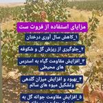 کارشناس کشاورزی  و مشاوره