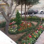 خدمات باغبانی گلکاری وخاک گلدون در تهران