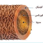 کلینیک تخصصی پوست و مو نسیم سلحشوری