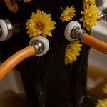 آکادمی تخصصی پوست و مو (مریم یکه شناس)