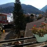 پیمان کار ساختمان سازی ذالکانی