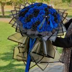 گل روبانی دریا