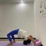 استودیو فاطمه یوگا