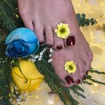 خدمات تخصصی ناخن و اکستنشن مژه نیلای