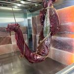 مزرعه پروتئین گوشت مالی