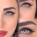 ويلش خدمات مژه